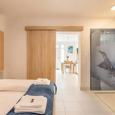 Jégmadár&fekete Gólya Mosonmagyaróvár